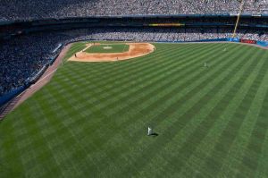 Yankee Stadium 2008  www.ballparkprints.com